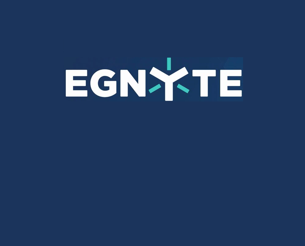 Egnyte technology partner